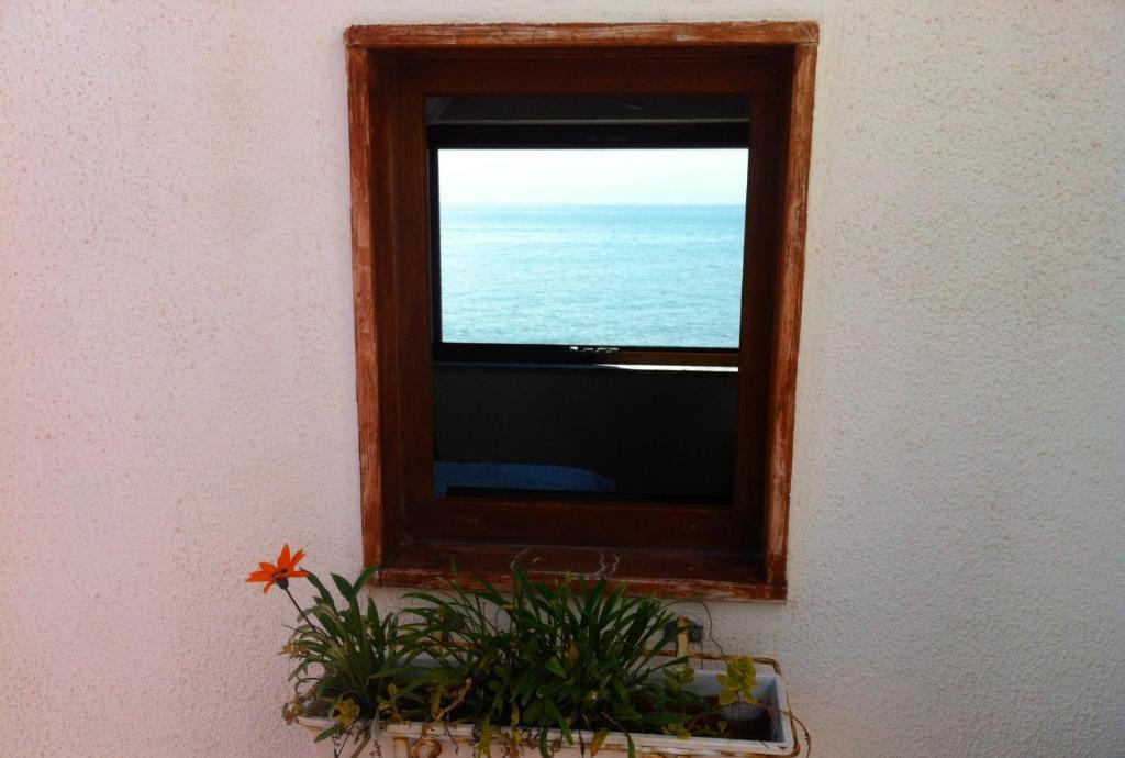 Beach Hotel 14Leoni B&B Salerno Buitenkant foto